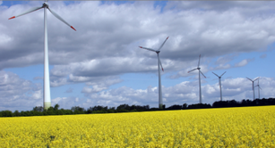 Leverage 签署中国企业气候行动倡议书