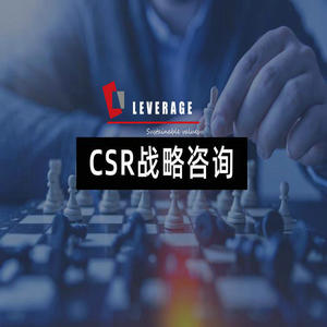 CSR战略咨询