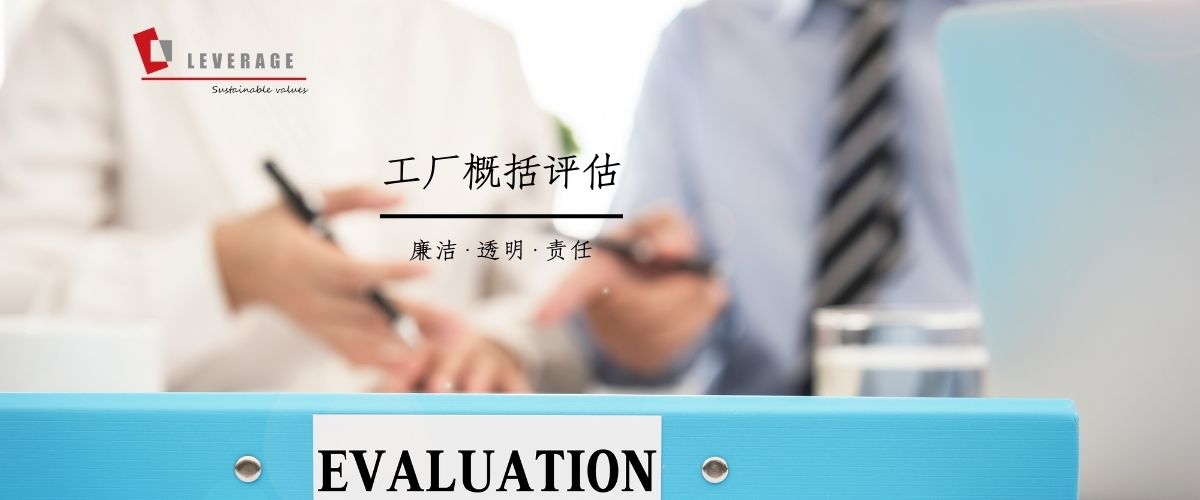  工厂概况评估