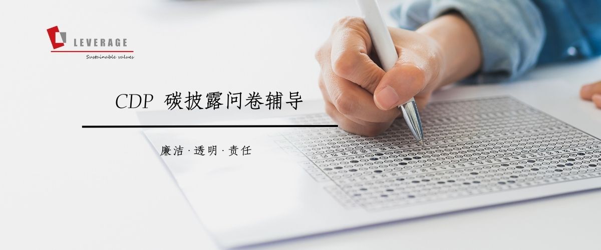 CDP 碳披露技术服务