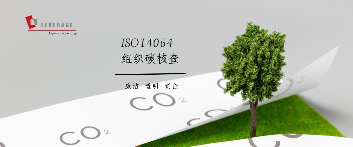 组织碳核查