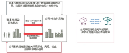 中国企业参与CDP气候信息披露数量持续增长,你的企业是否已为未来做好准备? 中国企业参与CDP气候信息披露数量持续增长,你的企业是否已为未来做好准备?