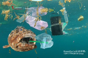 leverage供应链详细解读OceanCycle海洋及趋海塑料认证标准和要求 leverage供应链详细解读OceanCycle海洋及趋海塑料认证标准和要求
