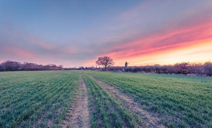 【行业资讯】欧盟议会批准通过碳去除认证框架和净零工业法案 【行业资讯】欧盟议会批准通过碳去除认证框架和净零工业法案