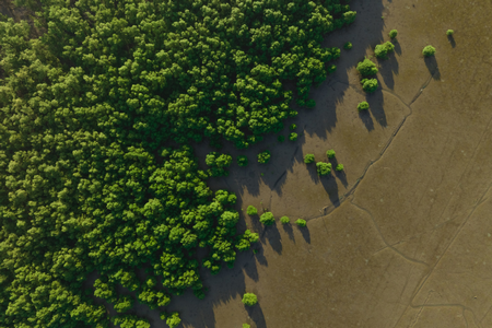 迈向净零 | Leverage为上海兆维科技发展有限公司颁发产品碳足迹核查证书 迈向净零 | Leverage为上海兆维科技发展有限公司颁发产品碳足迹核查证书