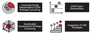 ESG Strategy Consulting ESG Strategy Consulting