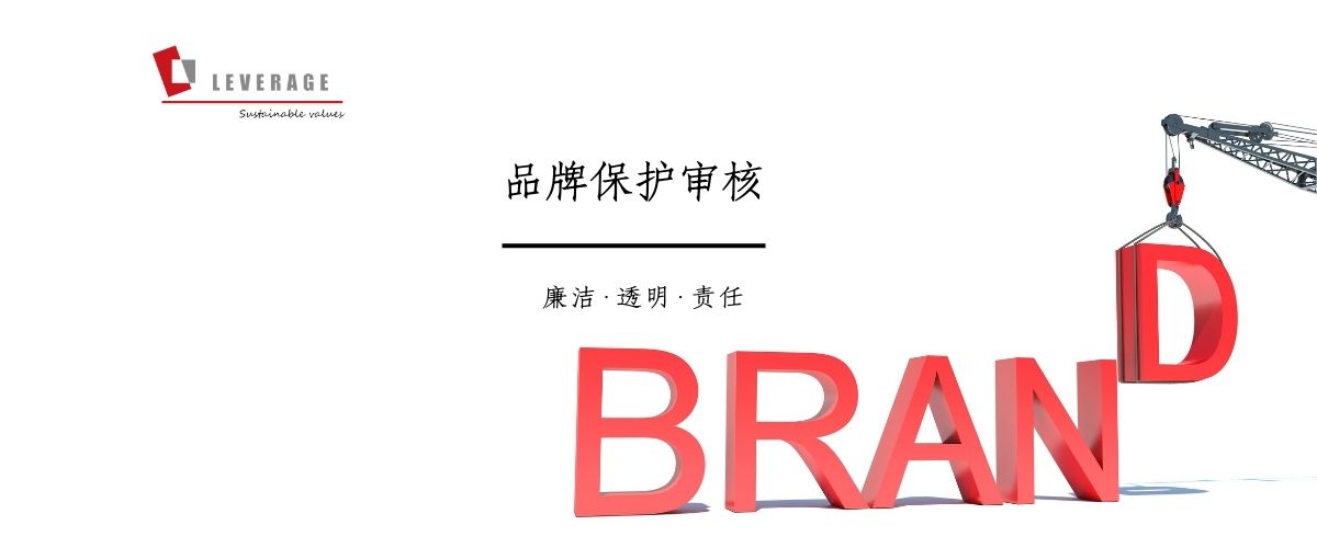 品牌保护审核(图1)