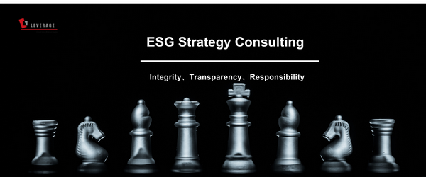 ESG Strategy Consulting ESG Strategy Consulting