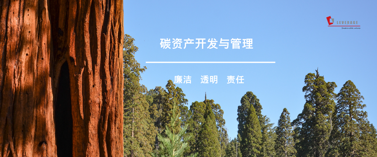 碳资产开发与管理