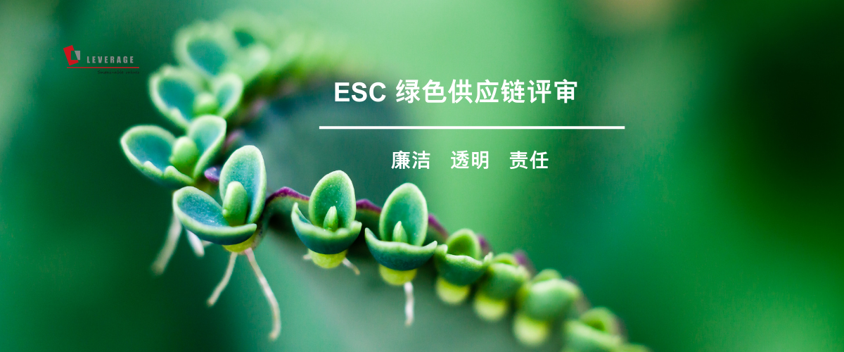 ESC 绿色供应链评审