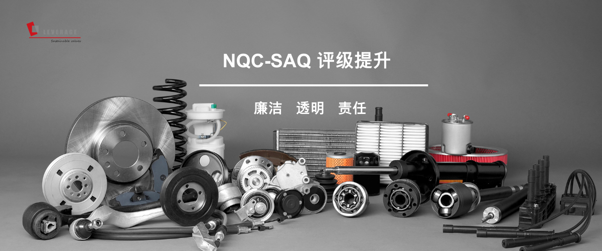 NQC-SAQ 可持续发展评估问卷