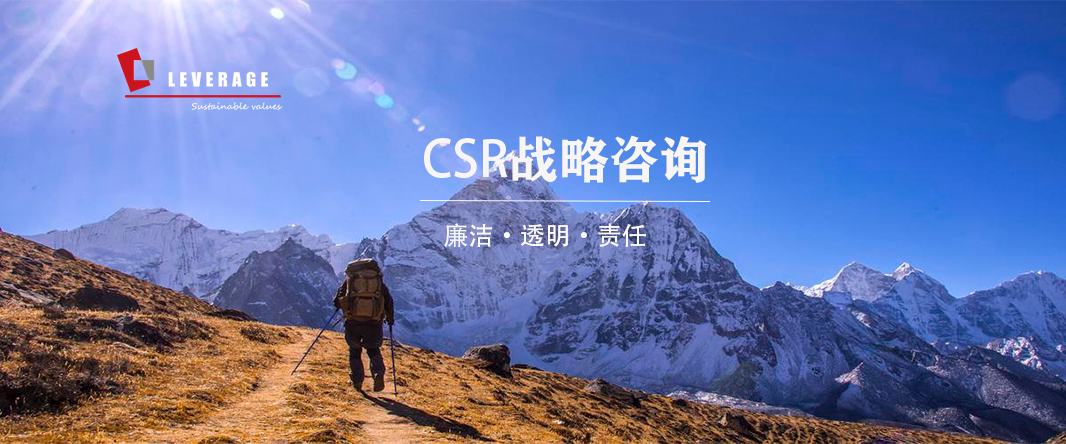 CSR战略咨询.jpg
