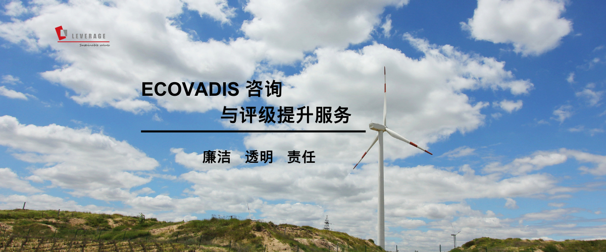 ECOVADIS 咨询 与评级提升服务 