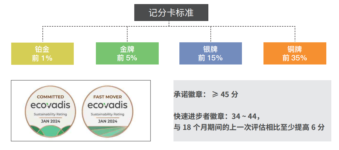 ECOVADIS 咨询 与评级提升服务 