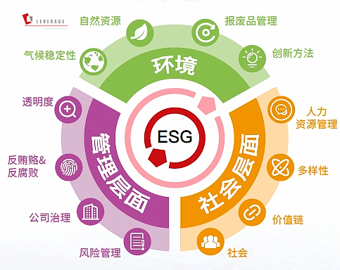 ESG 审核与风险评估服务