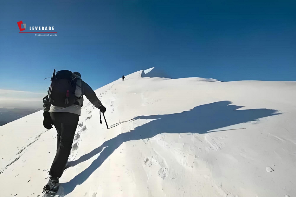 Enterprise Carbon Asset Management System Digitalization Enterprise Carbon Asset Management System Digitalization