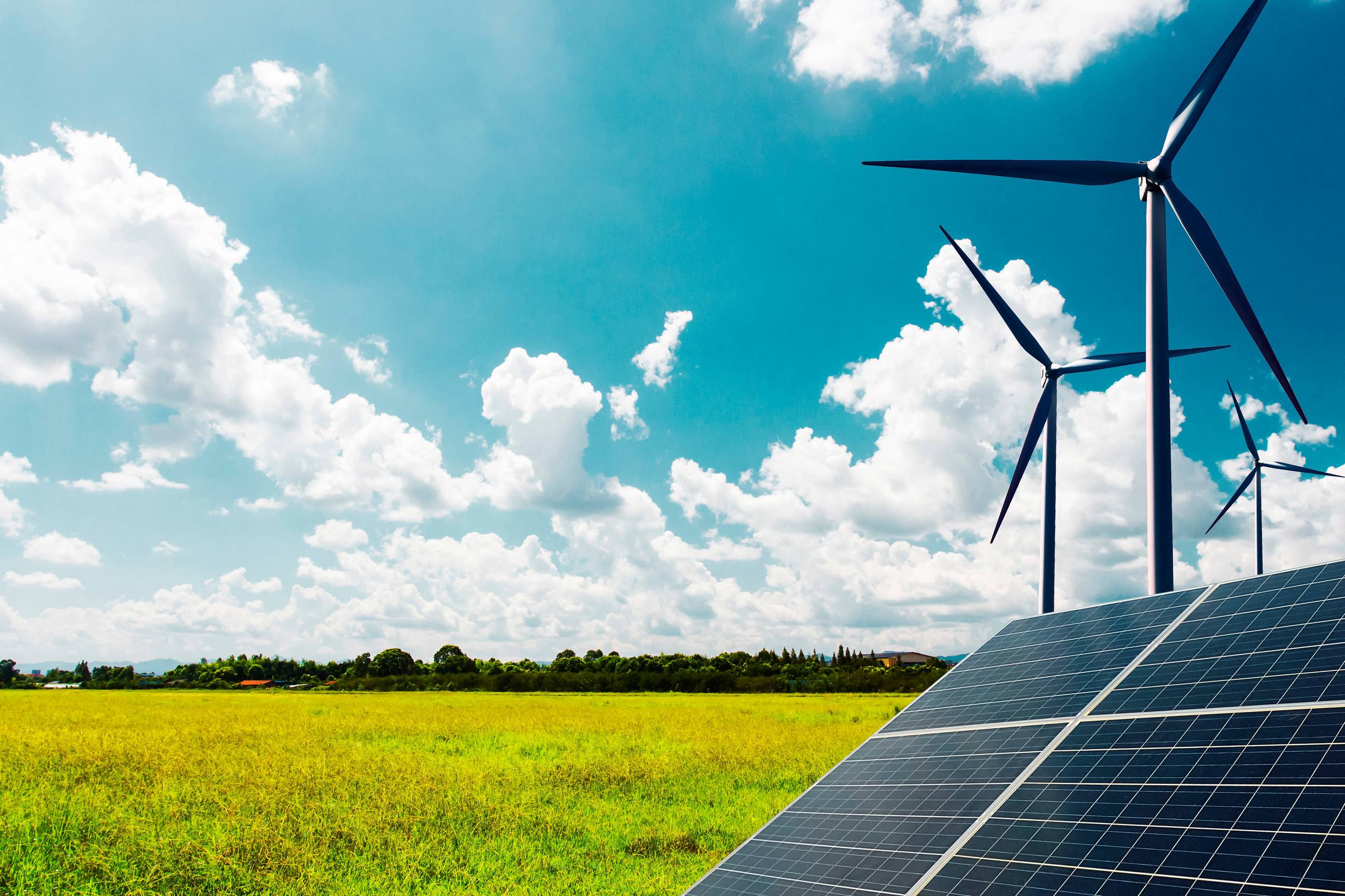 Carbon Asset Development and Management Carbon Asset Development and Management