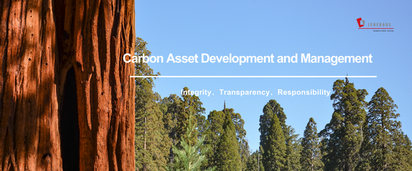 Carbon Asset Development and Management Carbon Asset Development and Management