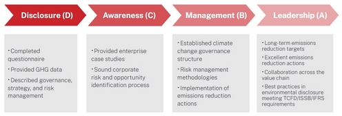 (CDP) Carbon Disclosure Project Consulting |Leverage