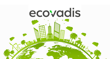 EcoVadis认证：企业如何在可持续发展浪潮中脱颖而出？