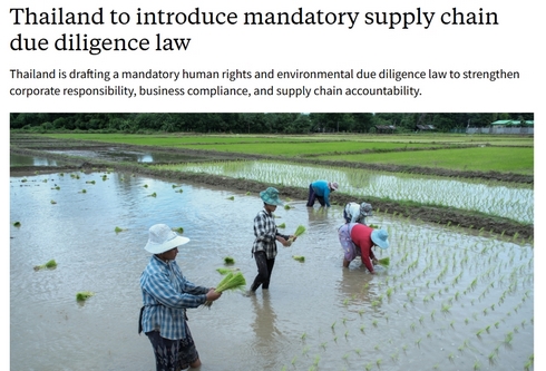 亚洲首个！泰国强制人权与环境尽职调查法即将出台