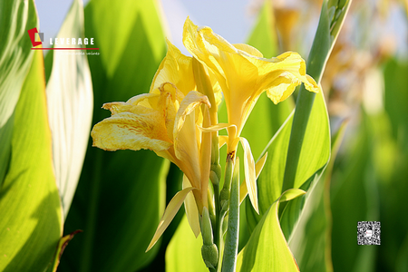 可持续采购的未来:ISO 20400如何重塑企业ESG战略 可持续采购的未来:ISO 20400如何重塑企业ESG战略