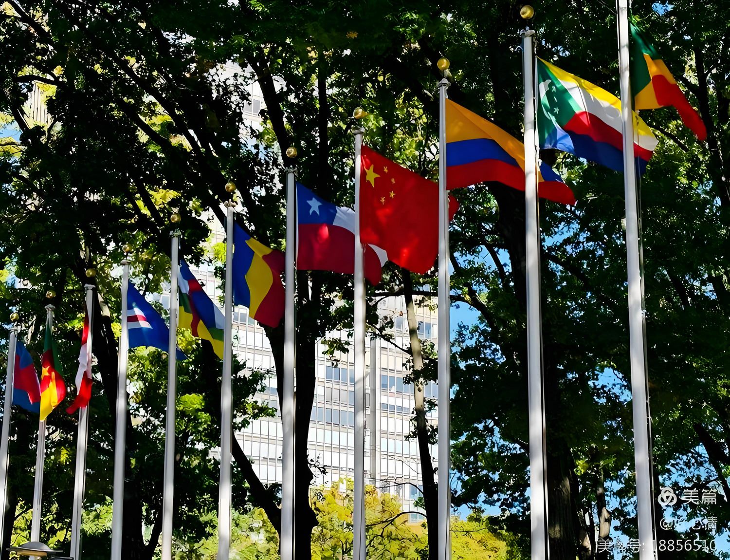 联合国宪章日:从曙光到未来,共筑和平与繁荣 联合国宪章日:从曙光到未来,共筑和平与繁荣