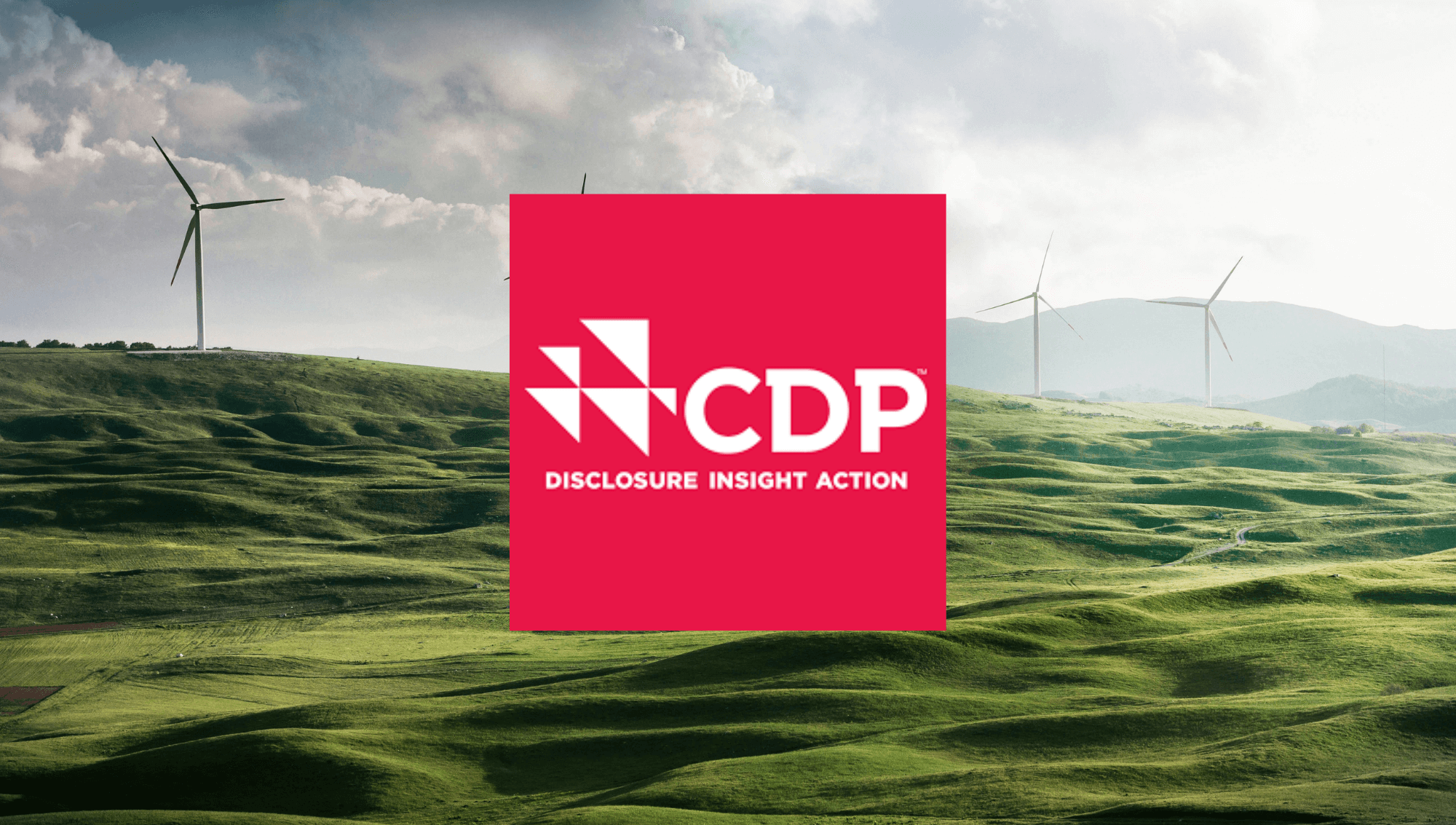 2025年CDP披露：企业环境责任的全球标准与战略突破