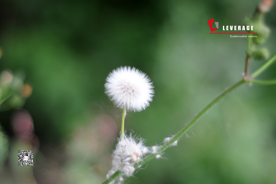 2025年CDP披露：企业环境责任的全球标准与战略突破