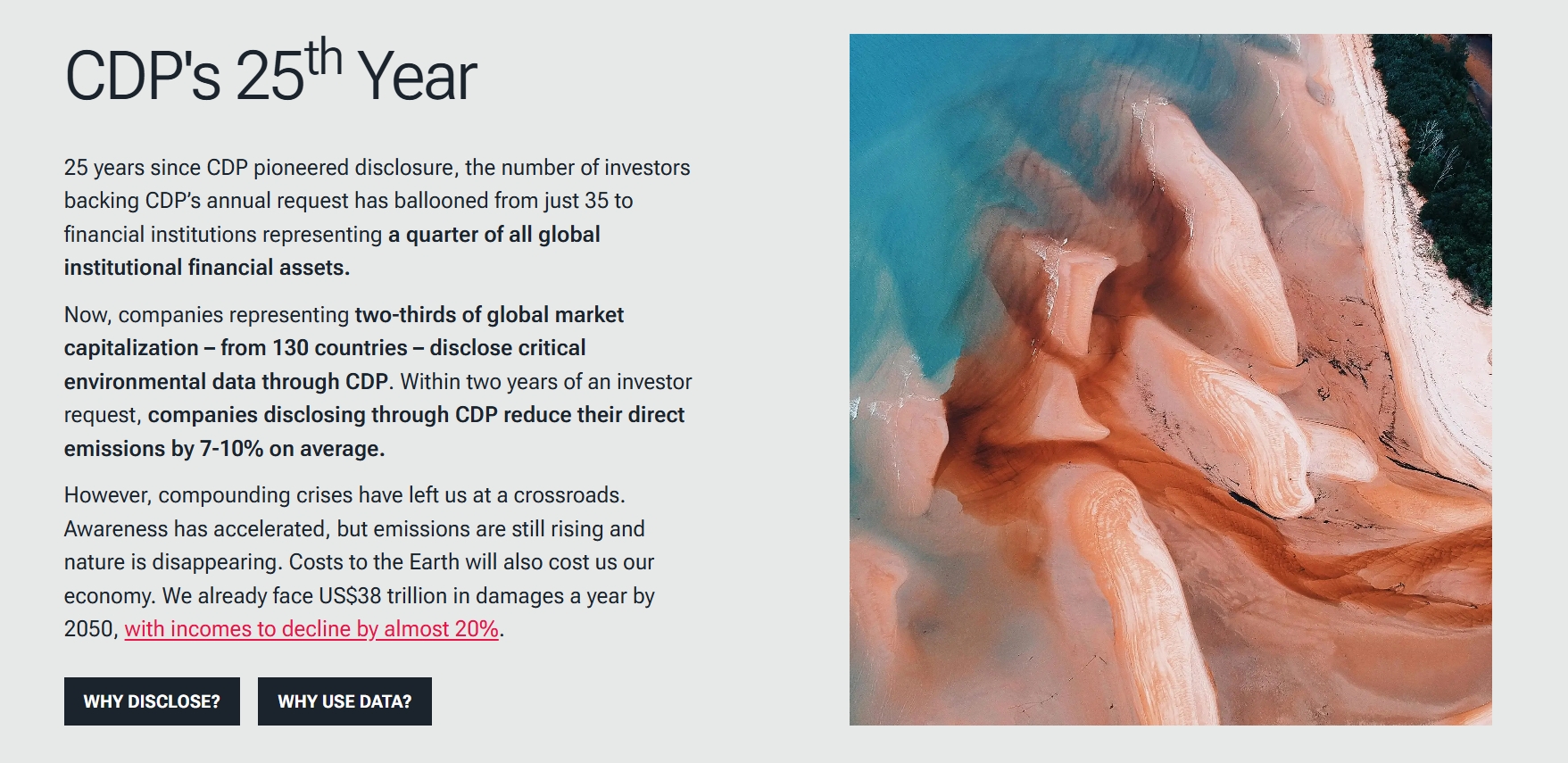 2025年CDP披露：企业环境责任的全球标准与战略突破