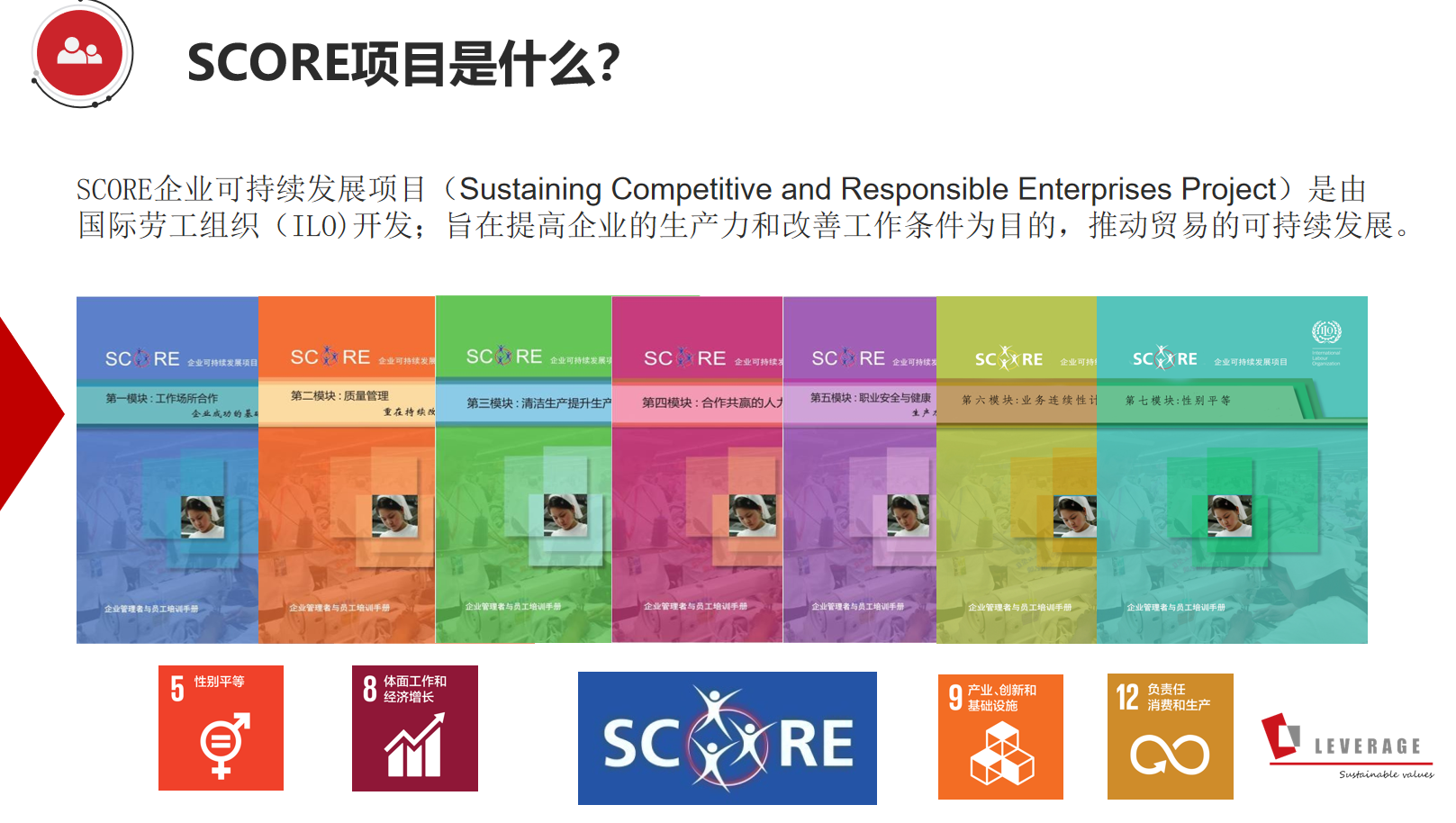 Leverage participated in the 2023 Quality Certification Conference for Re-evaluation of Domestic and International Dual Circulation, with the ILO SCORE Corporate Sustainability Program(图5)