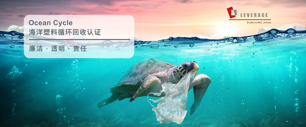 SA8000社会责任管理体系认证 (2)(1).png