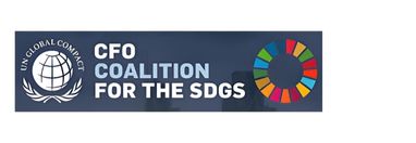 CFO COALITION FOR THE SDGS