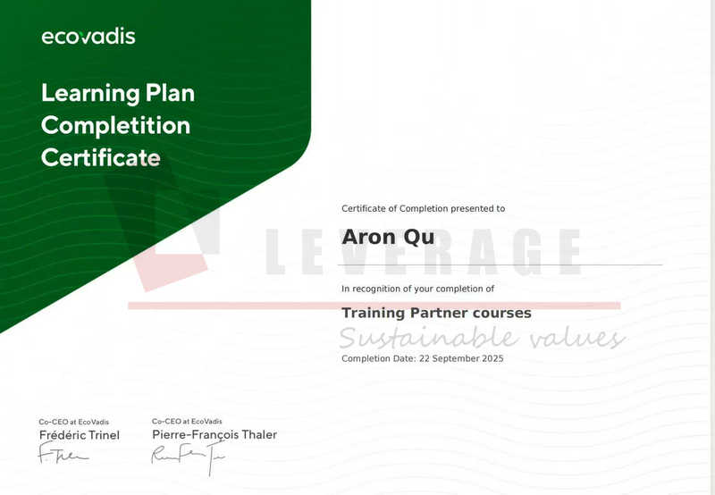 Certificate of Ecovadis Training Partner Program