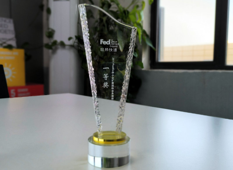 First Prize, FedEx Small Business Grant Contest (SBGC)