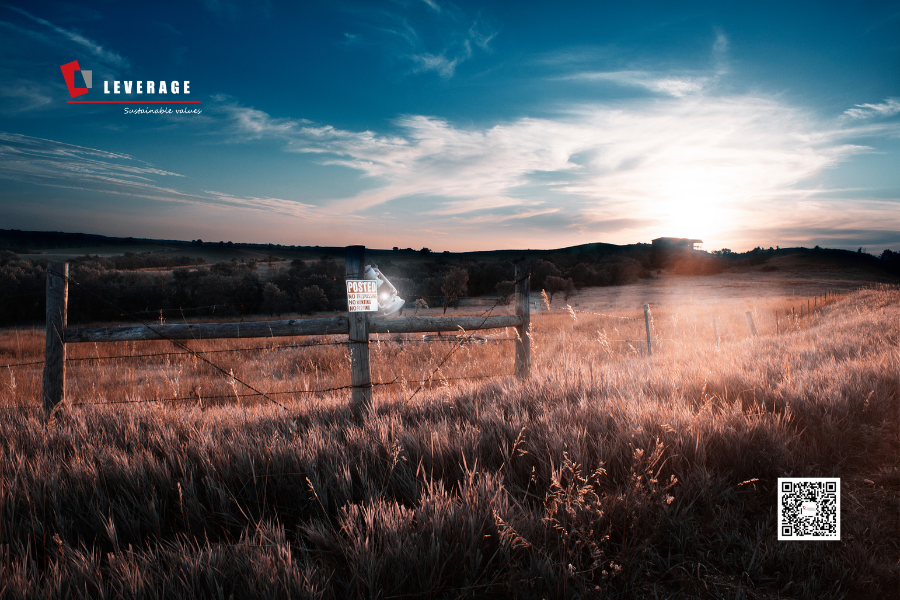 2026年CDP填报季前瞻：从气候披露到自然韧性，企业如何应对“年度大考”