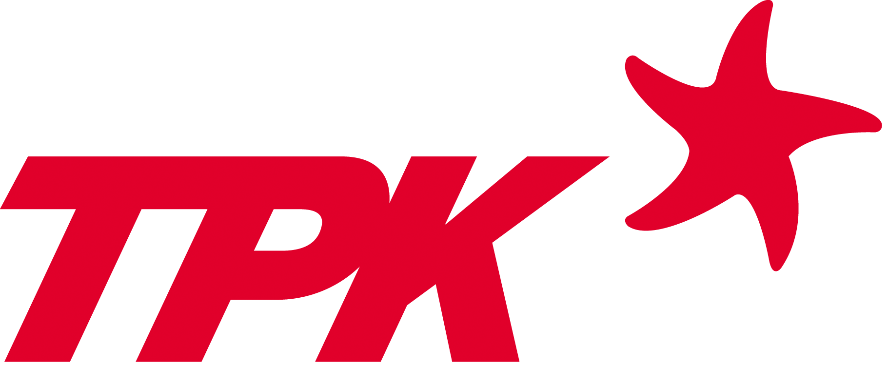 宸鸿科技(厦门)有限公司 (TPK)