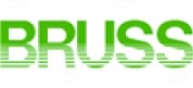 勃乐氏密封系统(太仓)有限公司 (BRUSS)