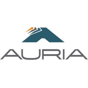 傲锐汽车部件(常州)有限公司 (Auria)
