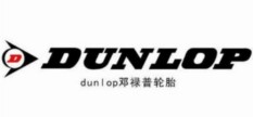 住友橡胶(中国)有限公司 (Dunlop)
