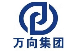 万向(上海)技术有限公司 (Wanxiang)