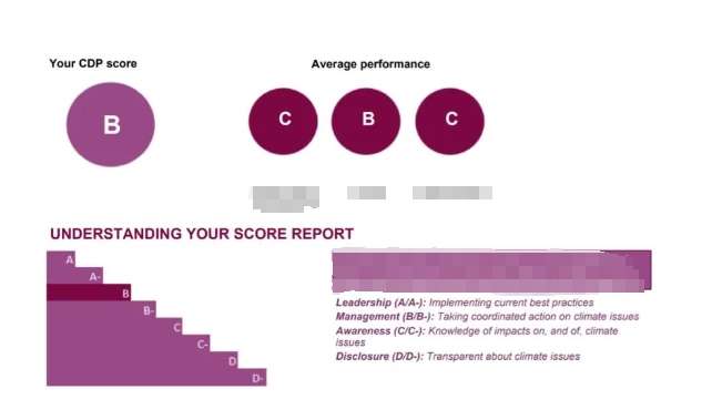 CDP碳披露项目:迈向可持续发展的重要一步 CDP碳披露项目:迈向可持续发展的重要一步