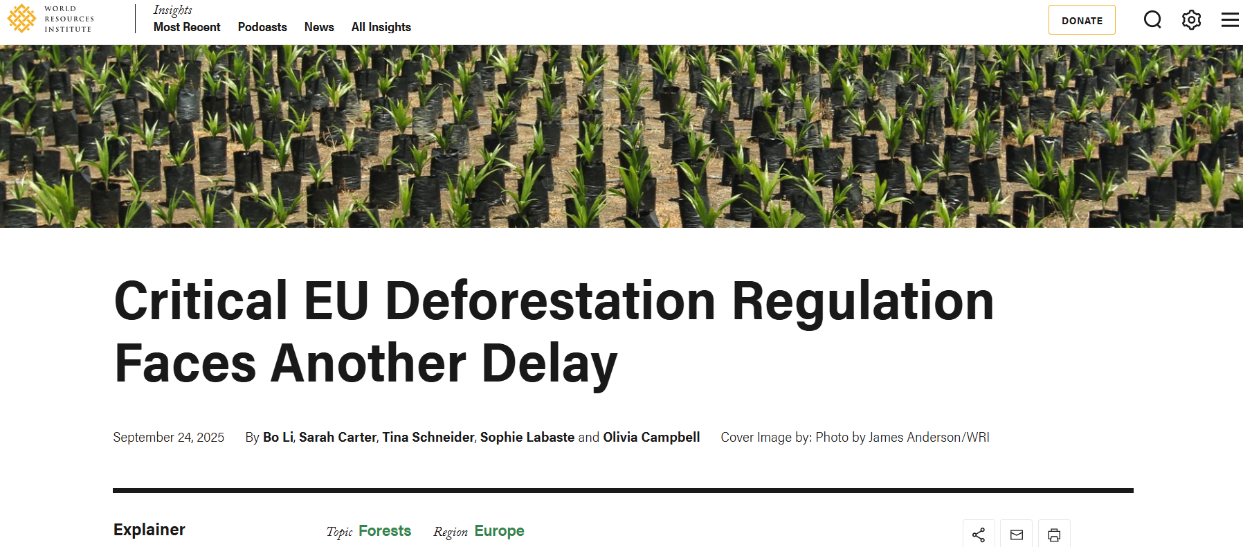 供应链透明度革命来临:欧盟零毁林法案下的企业生存指南 供应链透明度革命来临:欧盟零毁林法案下的企业生存指南